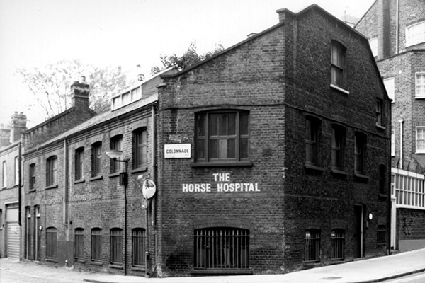 HORSE HOSPITAL, Bloomsbury: home to Museum of Sex Objects thoughout September