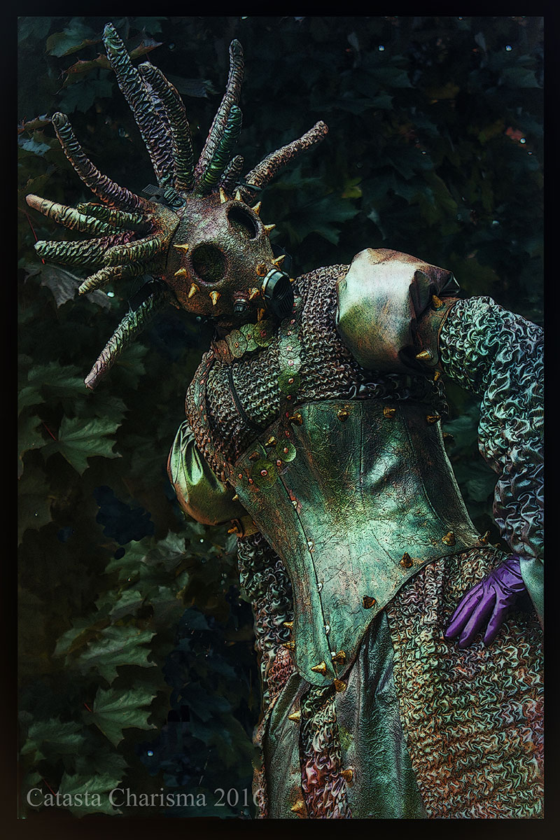 Catasta Charisma Selection: 2013-18