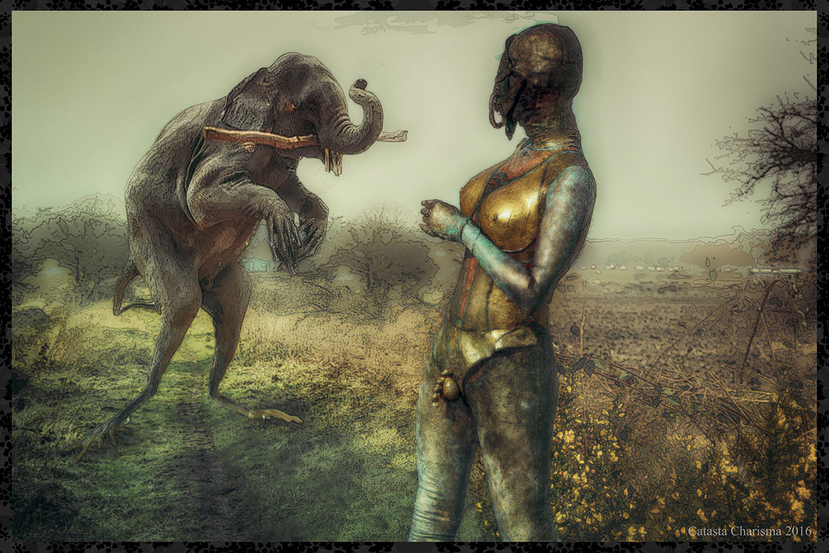 Catasta Charisma Selection: 2013-18