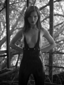 Steve Diet Goedde: Arrangements Vol III