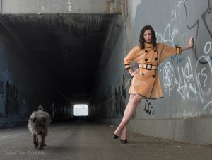 Steve Diet Goedde: Arrangements Vol III